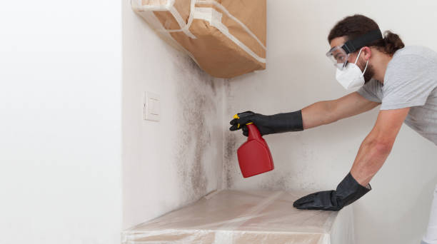 Professional Mold Inspection And Testing technician working in Grawn, MI